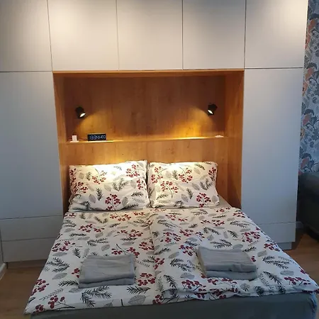 Liszt Ferenc Downtown Apartmán *