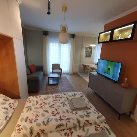 Liszt Ferenc Downtown Apartmán Debrecín